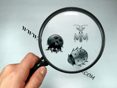 Malware hides C&C server communications using Google Docs function