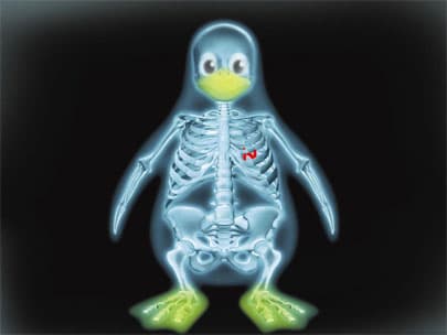 NSA tried to insert backdoor into Linux