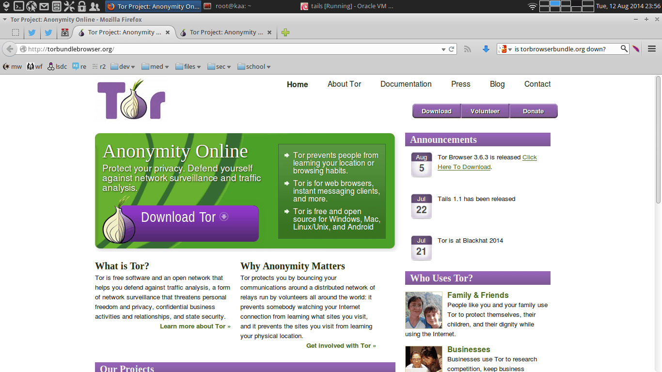 Replica of the Tor website used to serve malware