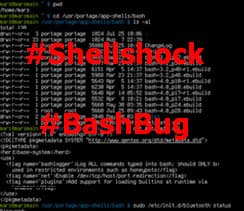 Experts at SANS discovered a Shellshock SMTP Botnet Campaign