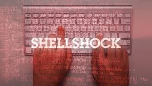 Worm exploits Shellshock to infect QNAP systems