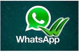 Crashing WhatsApp by sending a specially crafted message