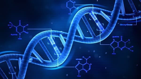 DNA sequencer applications