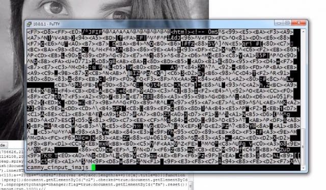 Stegosploit hides malicious code in images, this is the future of online attacks