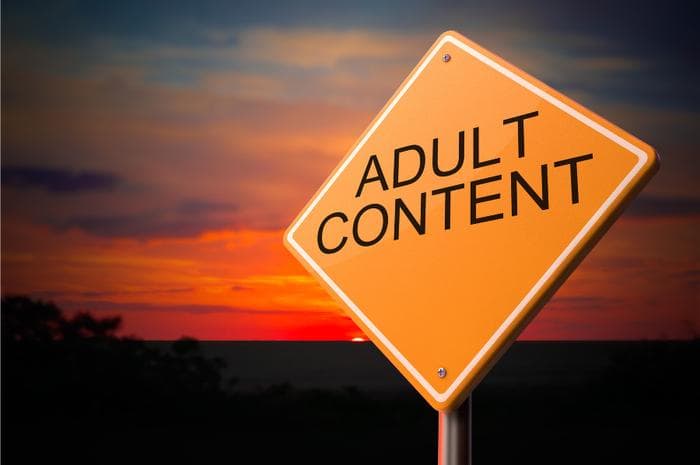 UK – Parliament computers accessed 20,000 times a month porn sites