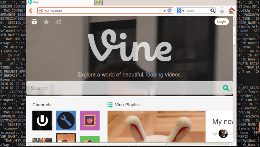 Bug hunter downloaded the entire Vine source code