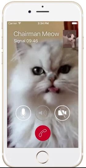 Signal introduced the Video call feature in public beta release