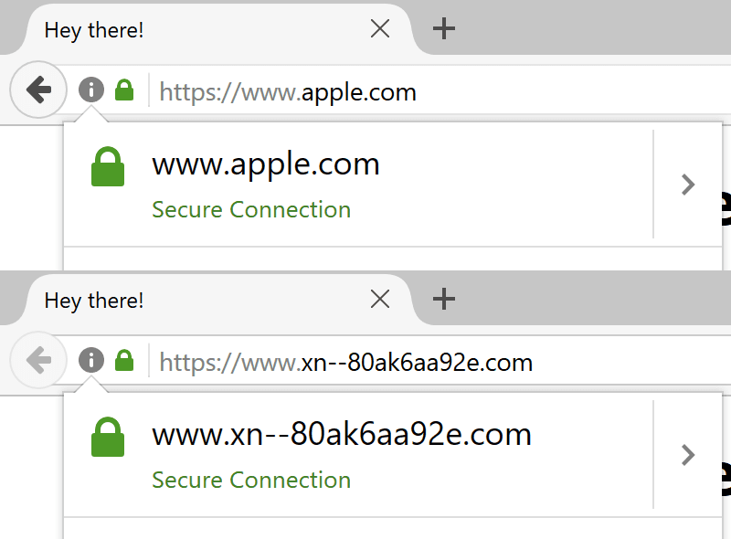 Homograph Phishing Attacks are almost impossible to detect on major browsers