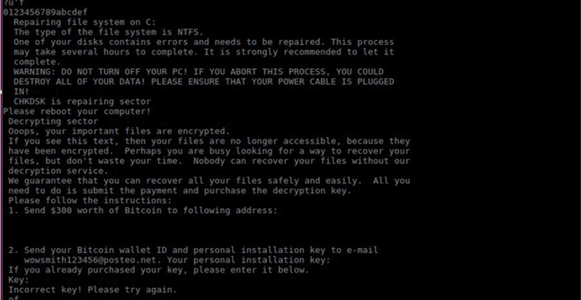 A new massive attack allegedly based on Petwrap ransomware hits organizations in several states