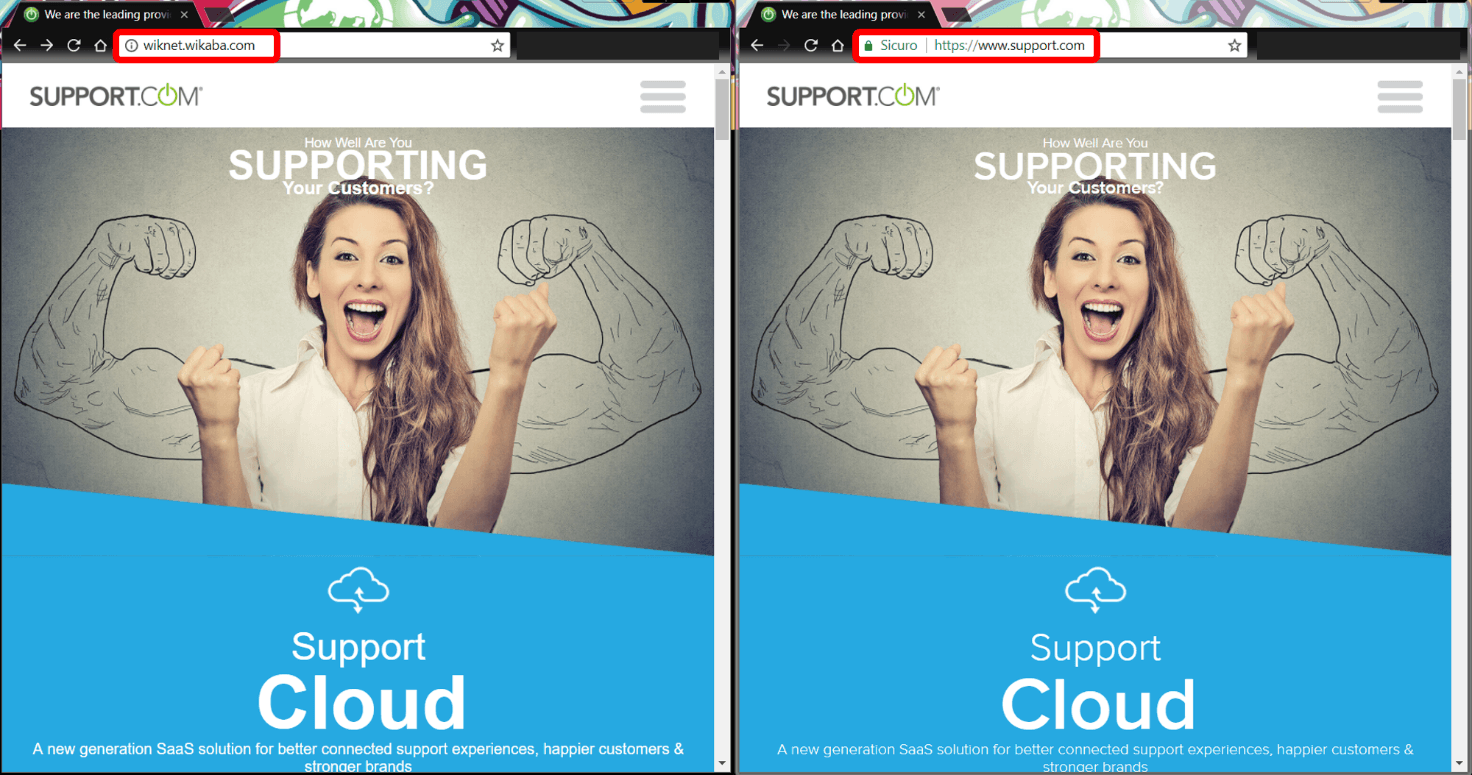 Wonder Botnet