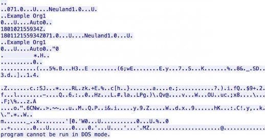 Abusing X.509 Digital Certificates to establish a covert data exchange channel