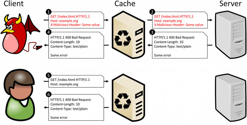 Exploring the CPDoS attack on CDNs: Cache Poisoned Denial of Service