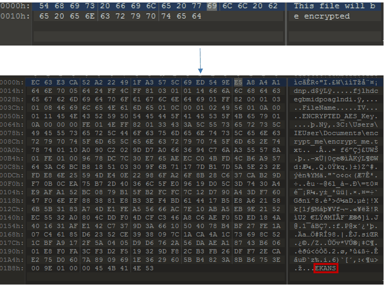 SNAKE ransomware