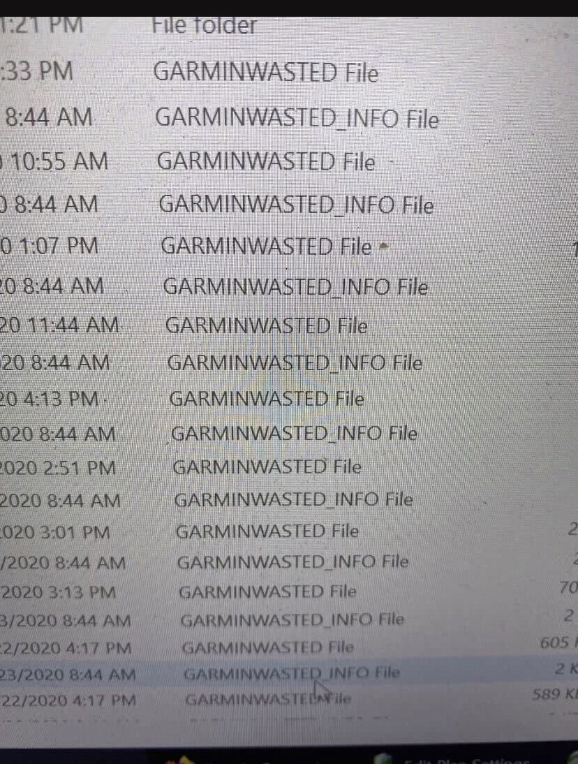Garmin allegedly paid for a decryptor for WastedLocker ransomware