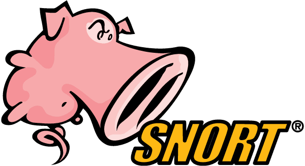 CVE-2022-20685 flaw in the Modbus preprocessor of the Snort makes it unusable