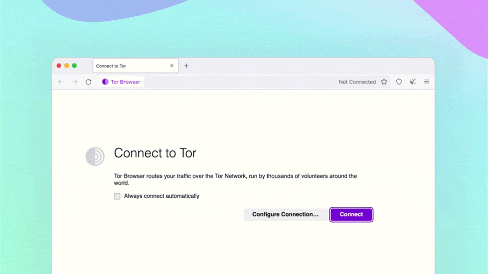 Tor browser