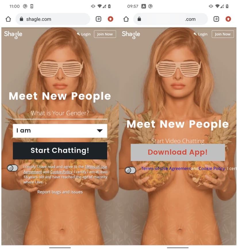 StrongPity APT spreads backdoored Android Telegram app via fake Shagle site