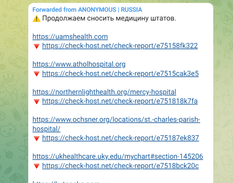 Pro-Russia Killnet group hit Dutch and European hospitals