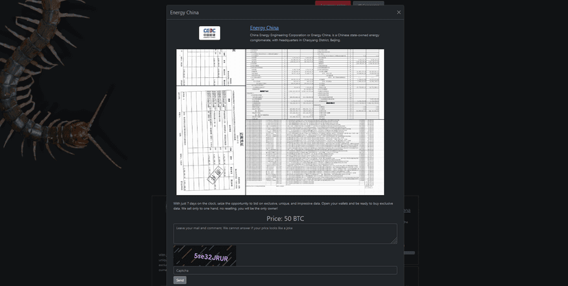 Researchers released a free decryption tool for the Rhysida Ransomware