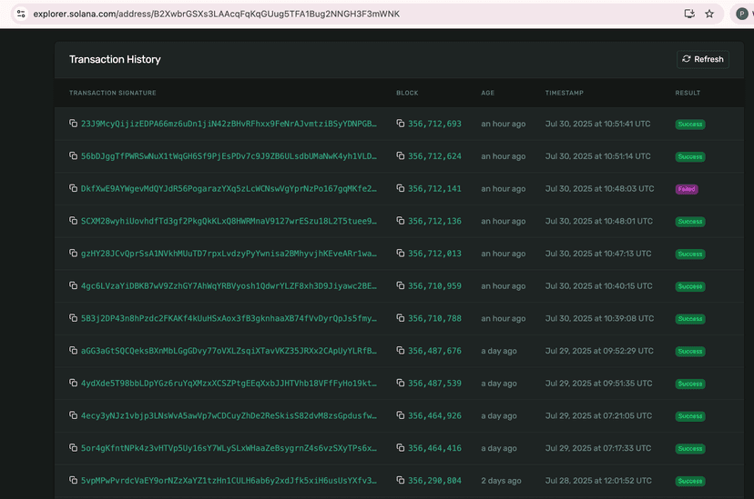 Malicious AI-generated npm package hits Solana users