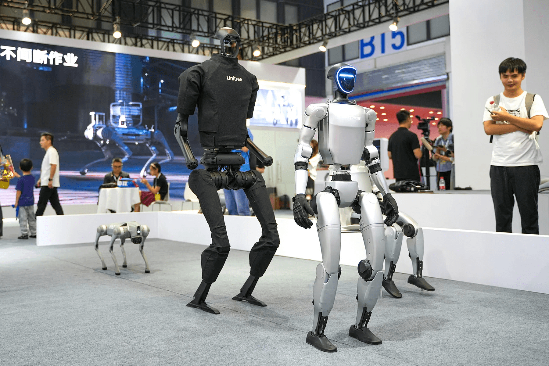 Chinese Robots