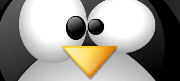 Linux ransomware already infected at least tens of users