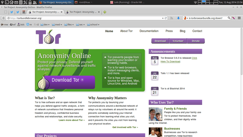 Replica of the Tor website used to serve malware