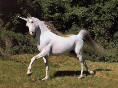 Windows Unicorn vulnerability exploited in the wild