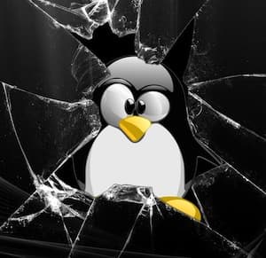 Grinch Bug Could be worse than Shellshock, Says Experts