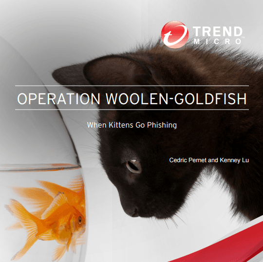 Operation Woolen Goldfish, a hacking campaign in the wild