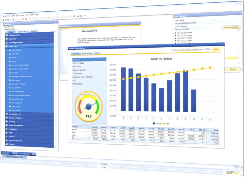Critical bug in SAP TREX affects SAP HANA and other applications
