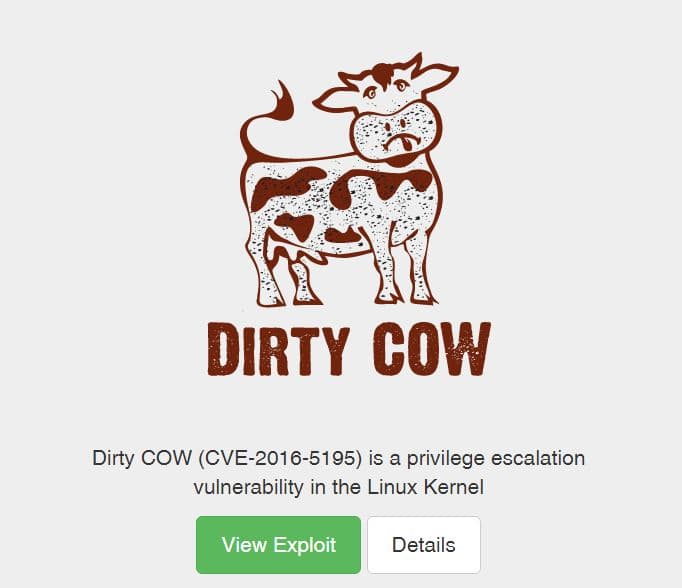 Dirty Cow