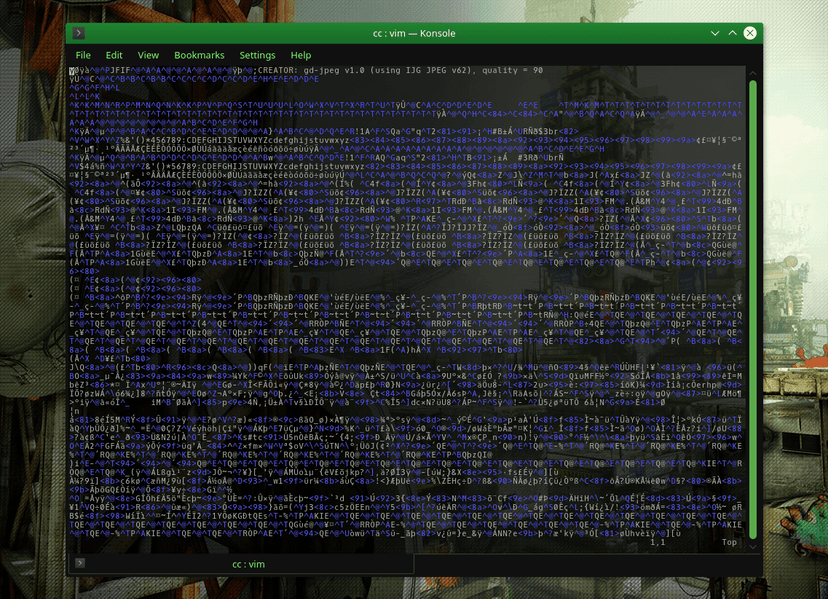 Magento card-swiping malware hides stolen card data in legitimate images
