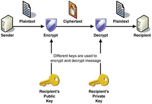 Cryptology for Business and Organizations on the 21st century