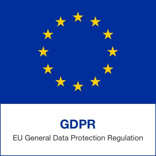 EU privacy non-profit group filed complaints against TikTok, SHEIN, AliExpress, and other Chinese companies