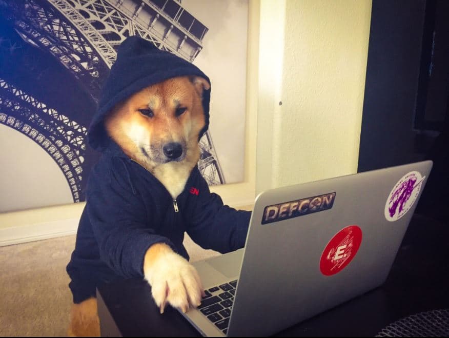 DitM Dog In The Middle – New Hacking Technique to Eavesdropping