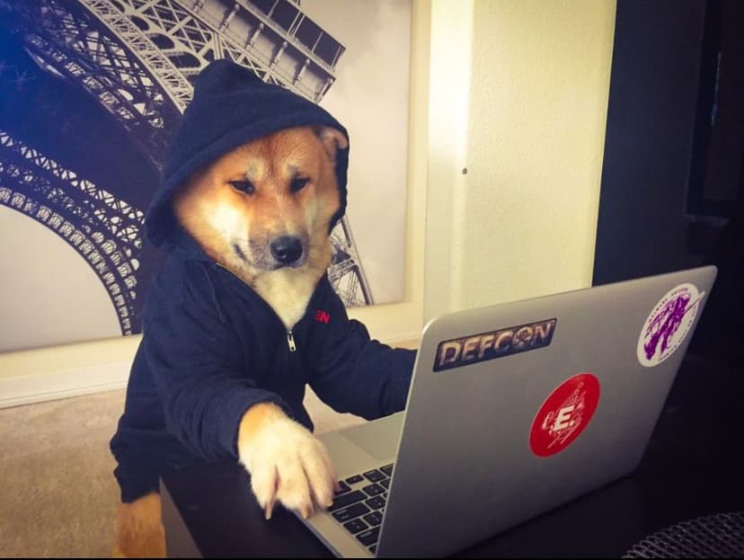 DitM Dog In The Middle – New Hacking Technique to Eavesdropping