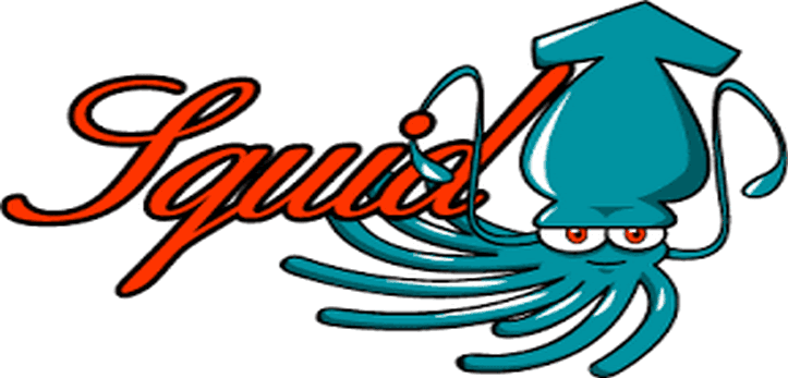 Buffer overflow exposes unpatched Squid servers to RCE and DoS attacks