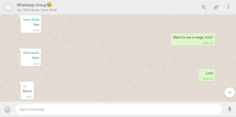 A WhatsApp bug could have allowed crashing of all group members
