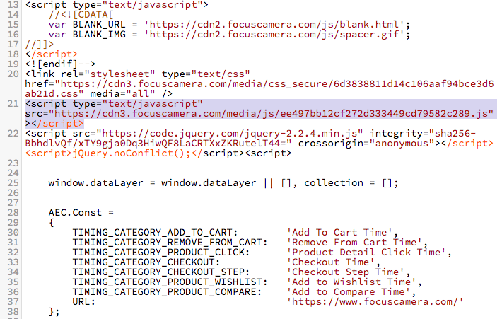 MageCart gang compromised popular Focus Camera website