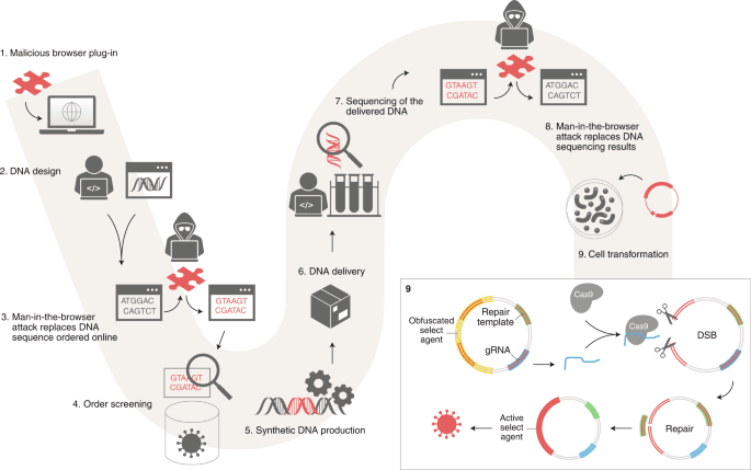 Malicious DNA injection performed by a remote cyber-criminal