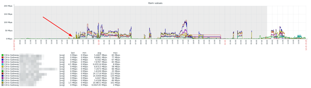 Citrix DDoS