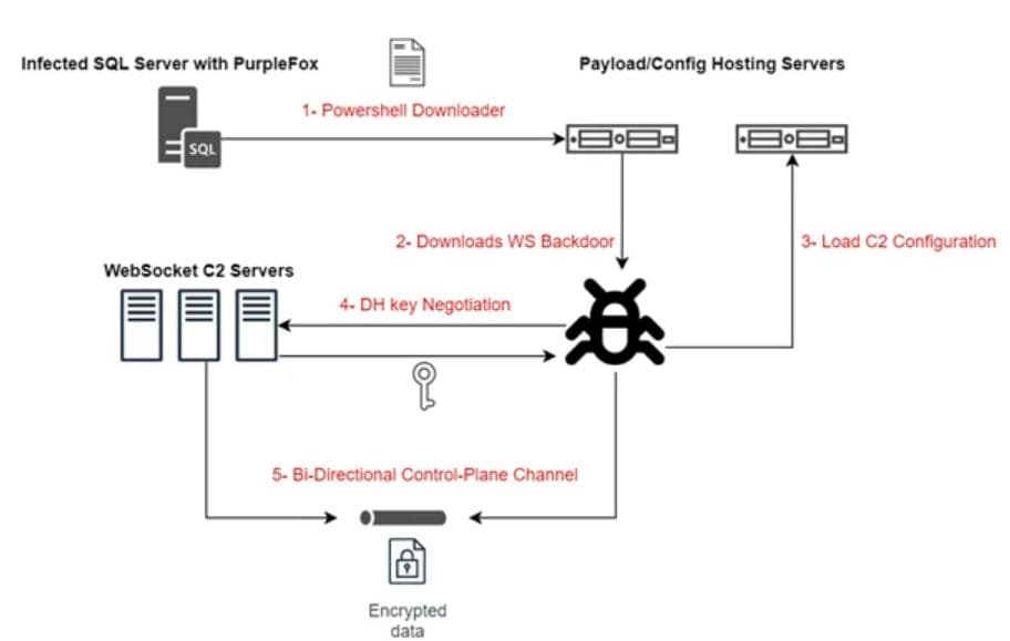 purplefox botnet