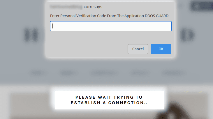 fake ddos protection page prompt 2