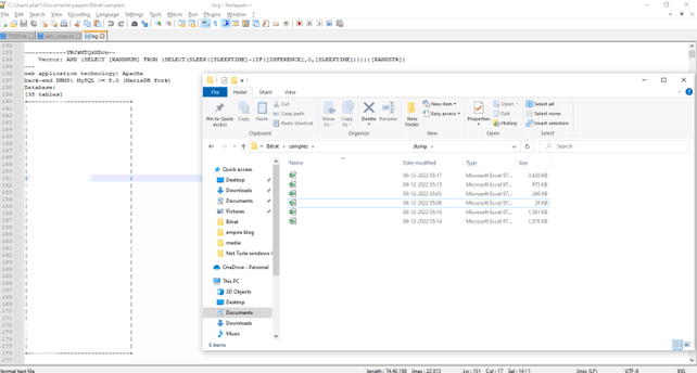 BitRAT Bank Data Lure
