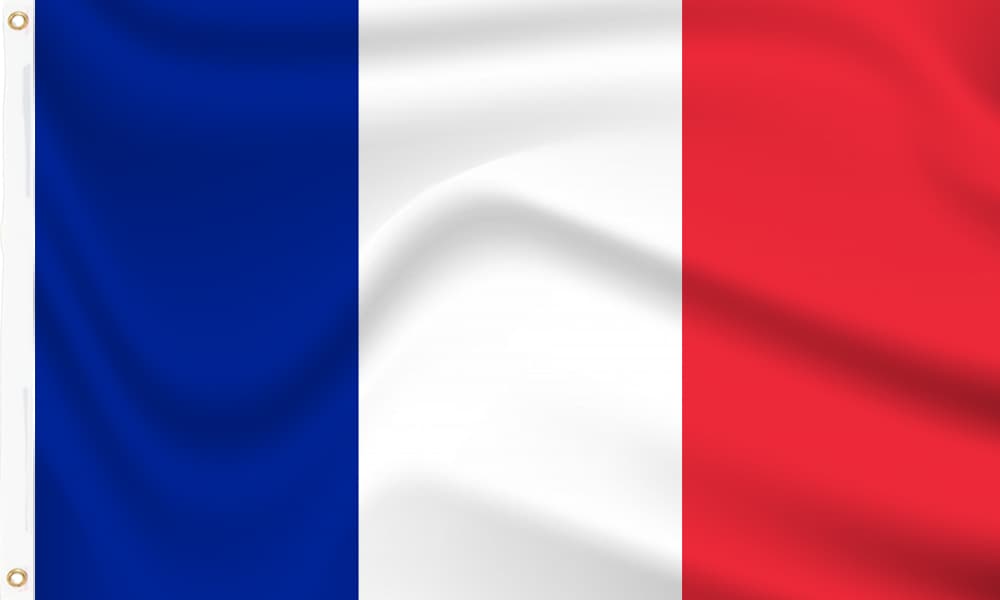 French interior minister