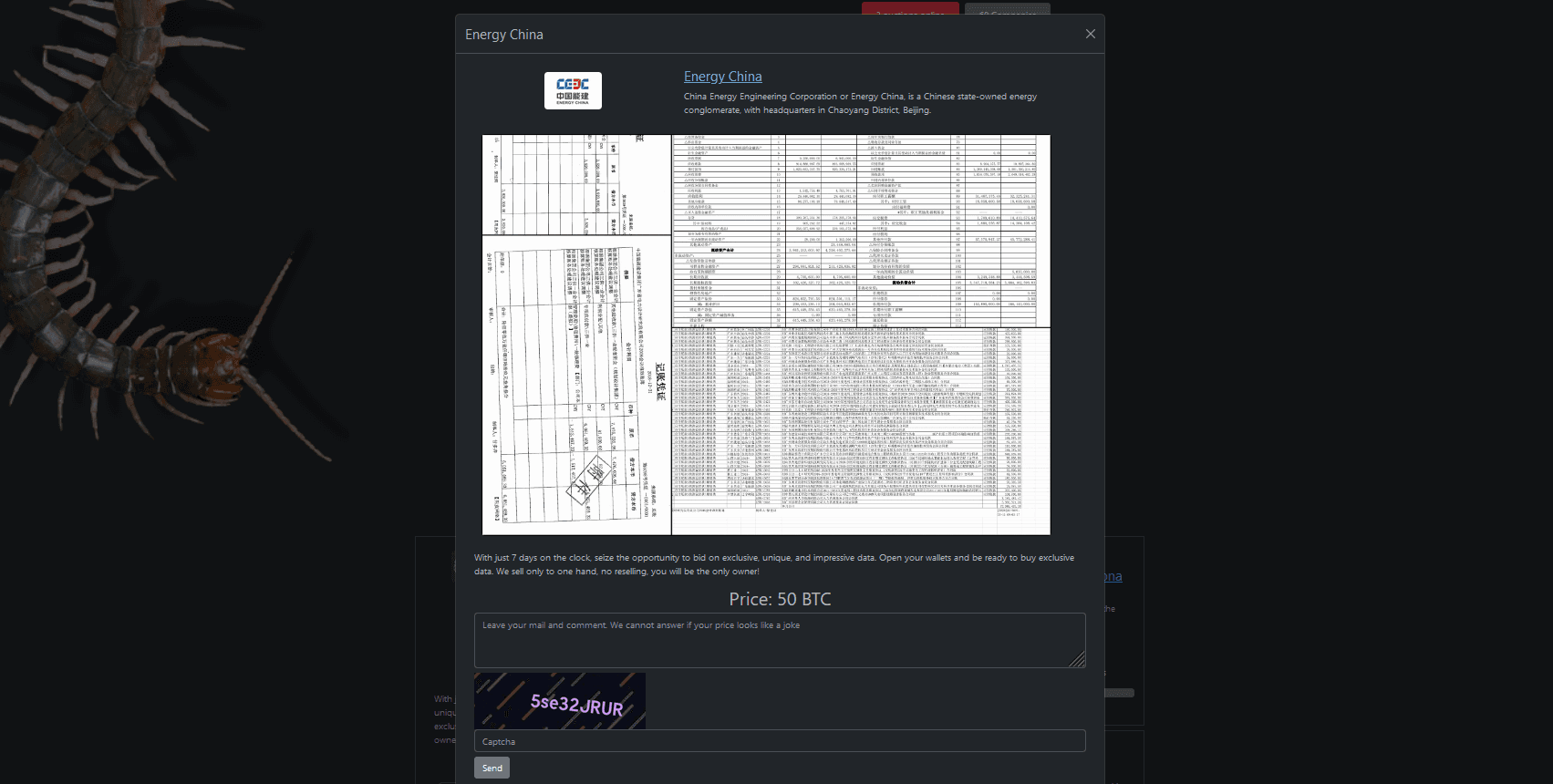 Rhysida ransomware gang claimed China Energy hack