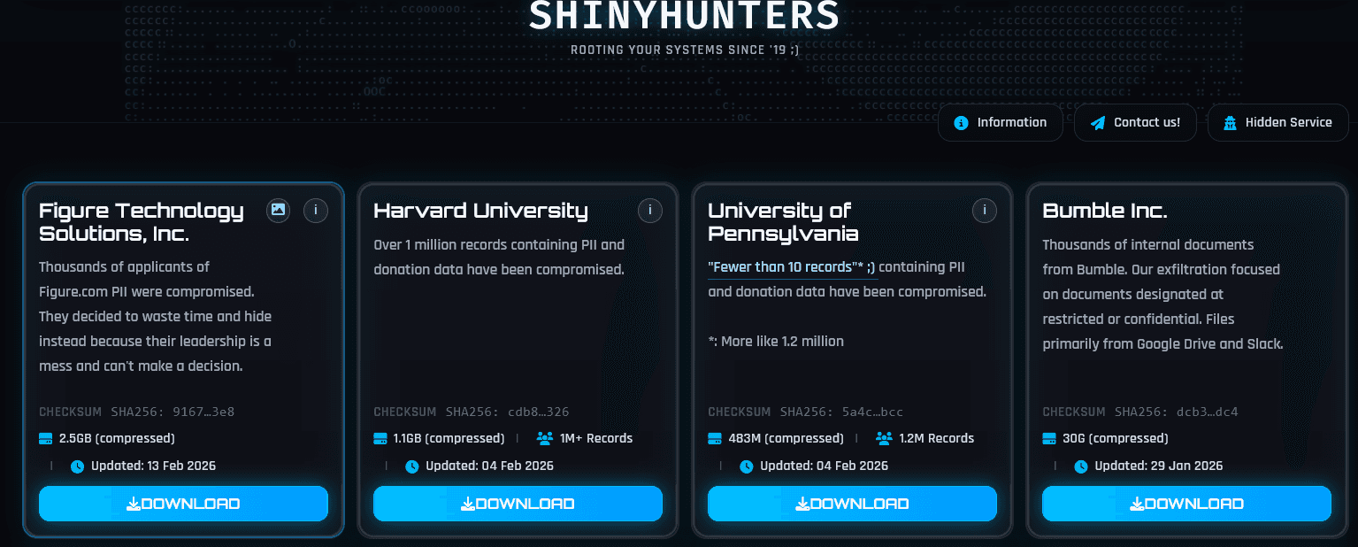 Figure Shinyhunters