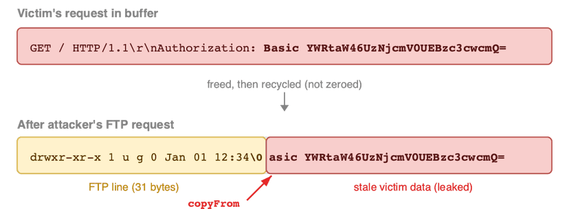 Squidbleed: 29-Year-Old Squid Bug Leaks User Credentials